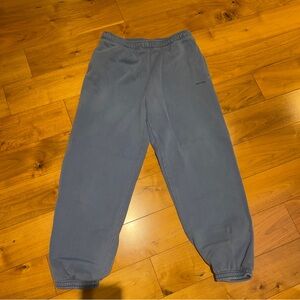 Aritzia Blue Sweatpants